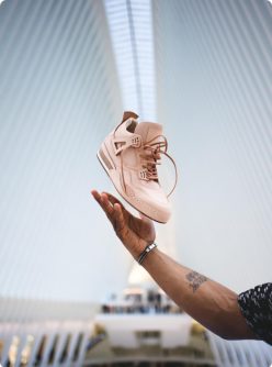 {{brizy_dc_image_alt imageSrc=